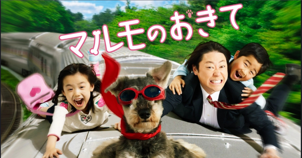 芦田愛菜・鈴木福と犬のムックの可愛らしさで人気を博したドラマ「マルモのおきて」